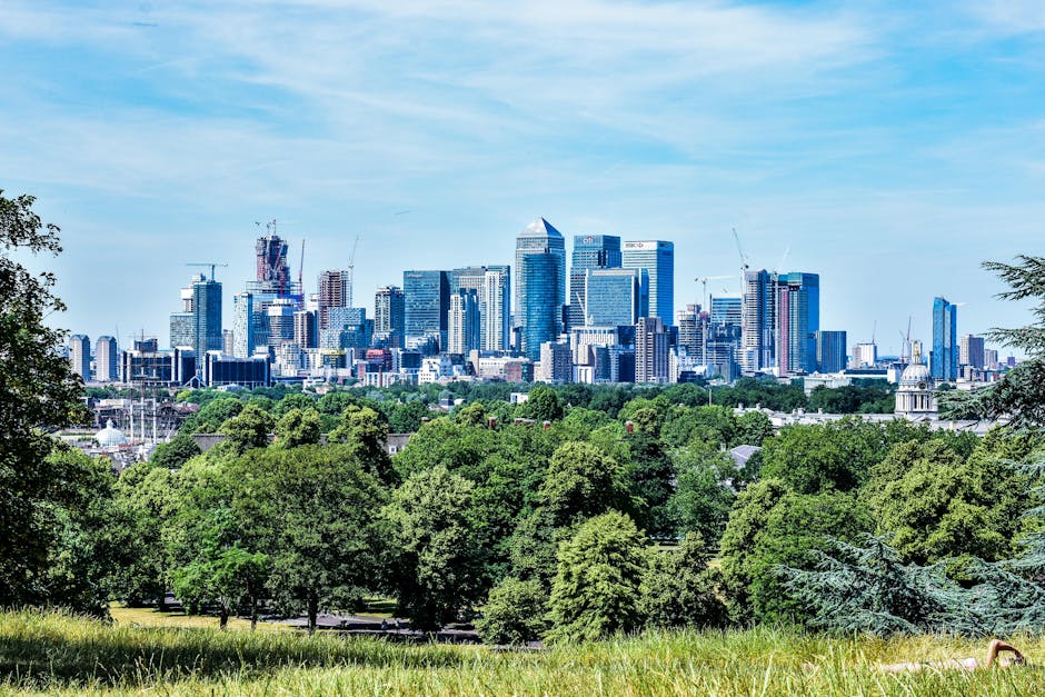 The image depicts a panoramic view of a modern city skyline with numerous high-rise buildings and skyscrapers, some still under construction with visible cranes atop them. The buildings vary in height, shape, and glass facades, reflecting sunlight, with a mix of rectangular and curved architectural designs. In the foreground, there is a lush, green park area featuring numerous mature trees with dense foliage, providing a natural contrast to the urban environment. The trees display different shades of green, and some branches extend into the frame, overlapping part of the cityscape. The sky overhead is mostly clear with a few wispy clouds, contributing to bright, natural daylight that illuminates both the city and the greenery. The scene suggests a peaceful, outdoor setting near a densely populated business district, aligning with the theme of private waste handling and urban rubbish management, as might be associated with independent rubbish removal services in a city context, with the natural environment providing a buffer zone around the urban core. The overall composition highlights the contrast between natural and constructed elements, indicative of a typical city park overlooked by modern commercial buildings.